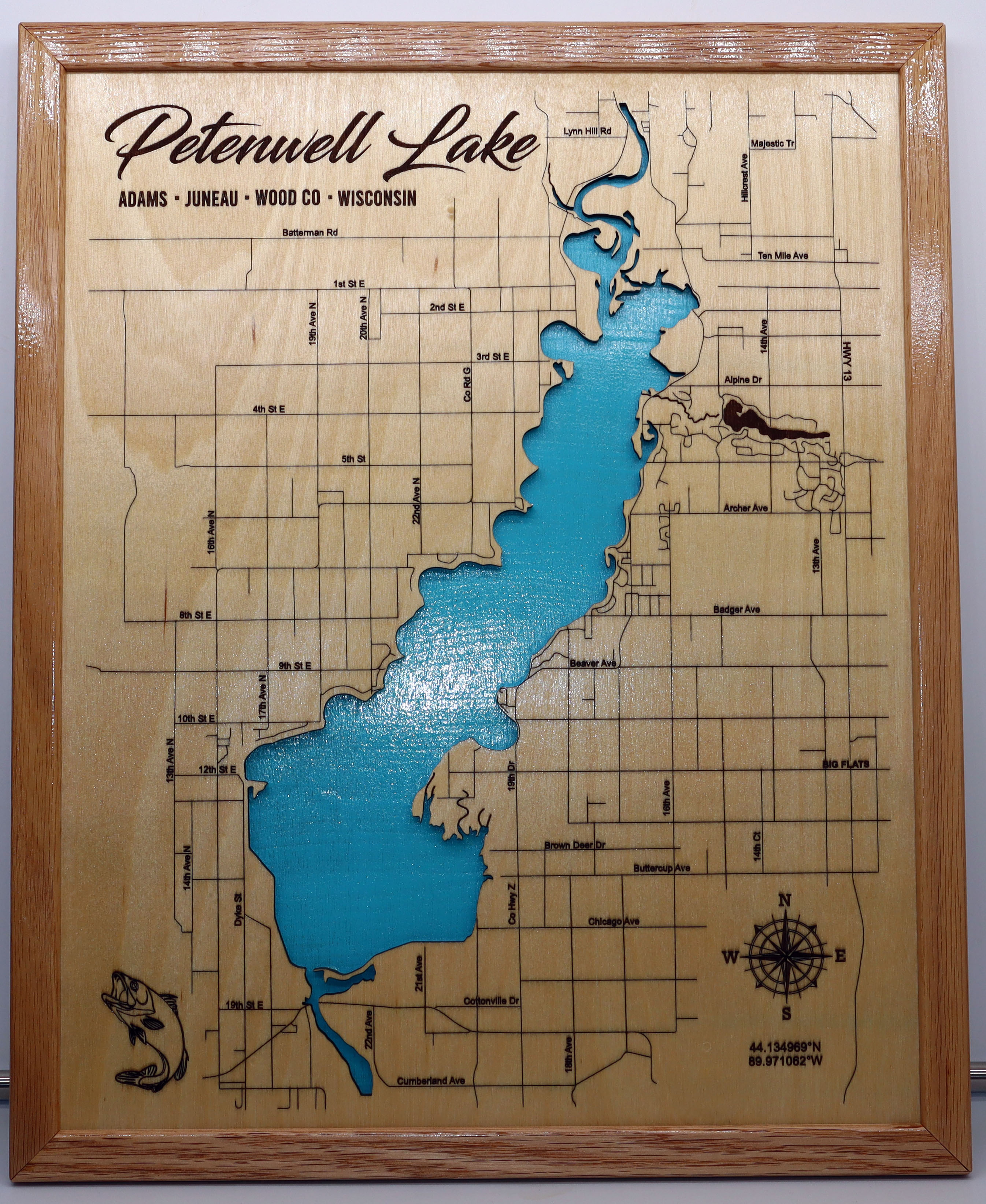 Petenwell Lake map